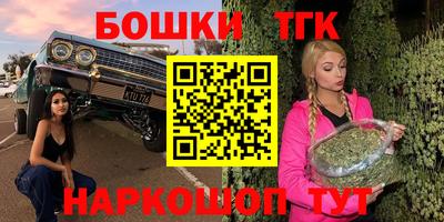 бошки Дубна