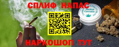 бошки Дубна