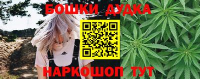 крисы Донецк