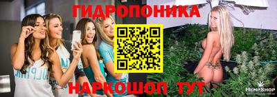 бошки Дубна