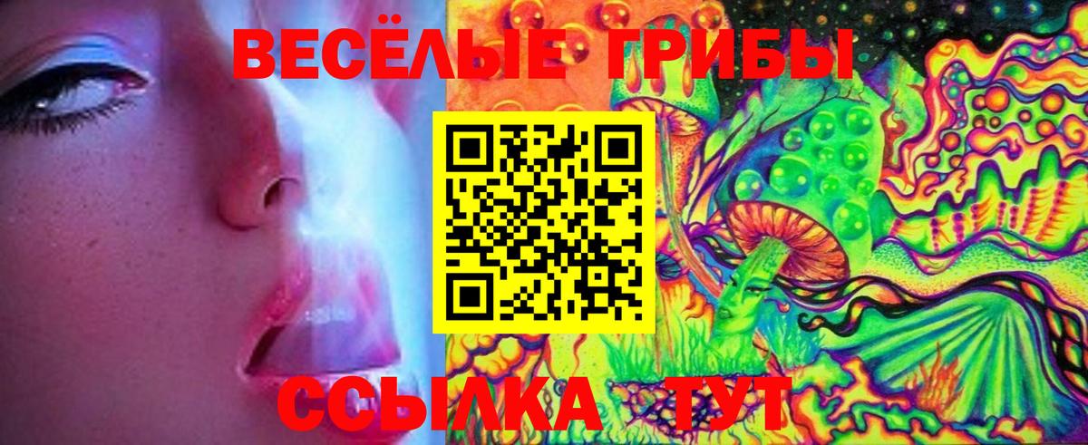 Псилоцибиновые грибы Magic Shrooms  Вход с VPN  Псилоцибиновые грибы Magic Shrooms  Менделеевск 